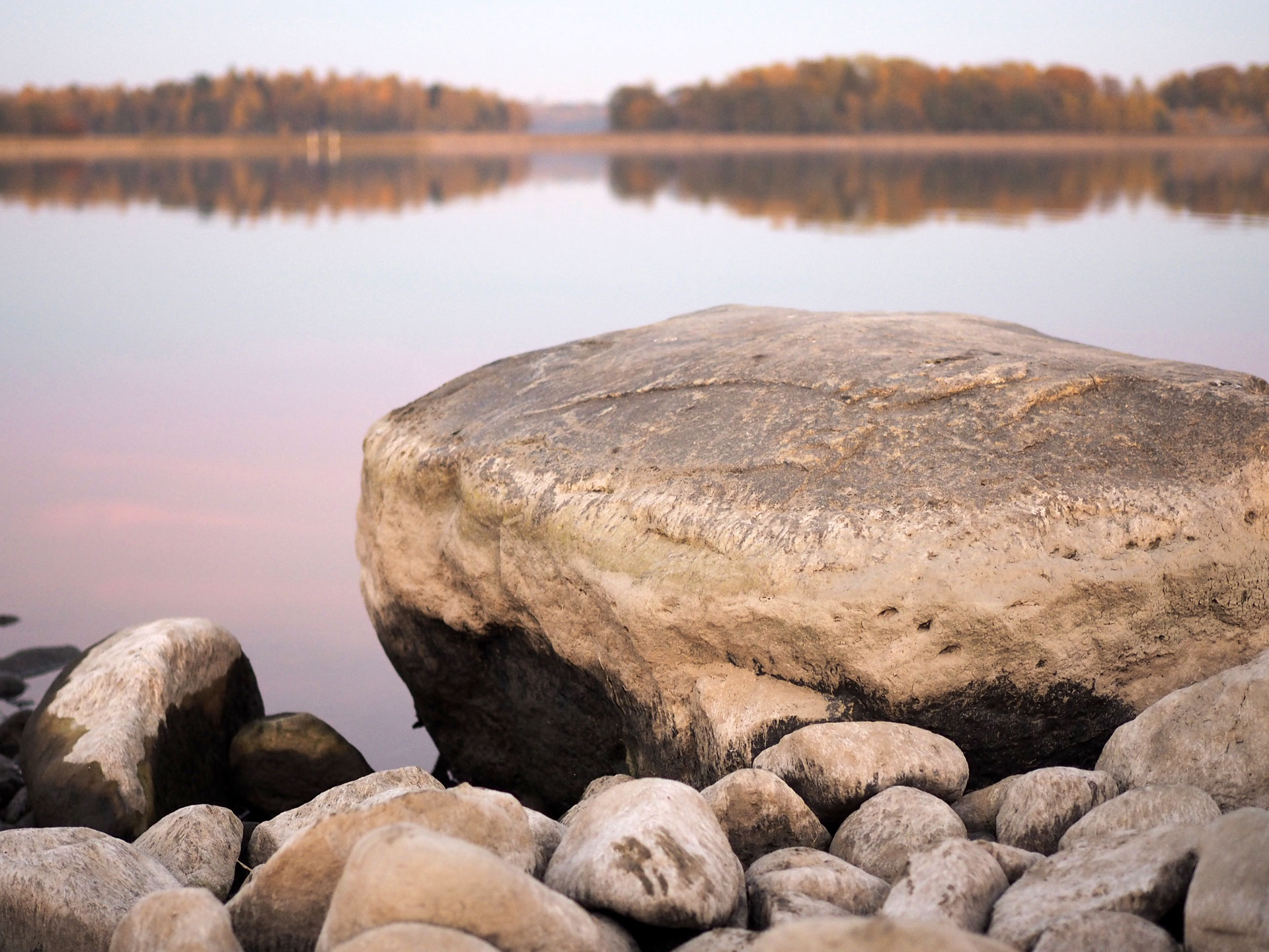 Luontokuvaus ranta