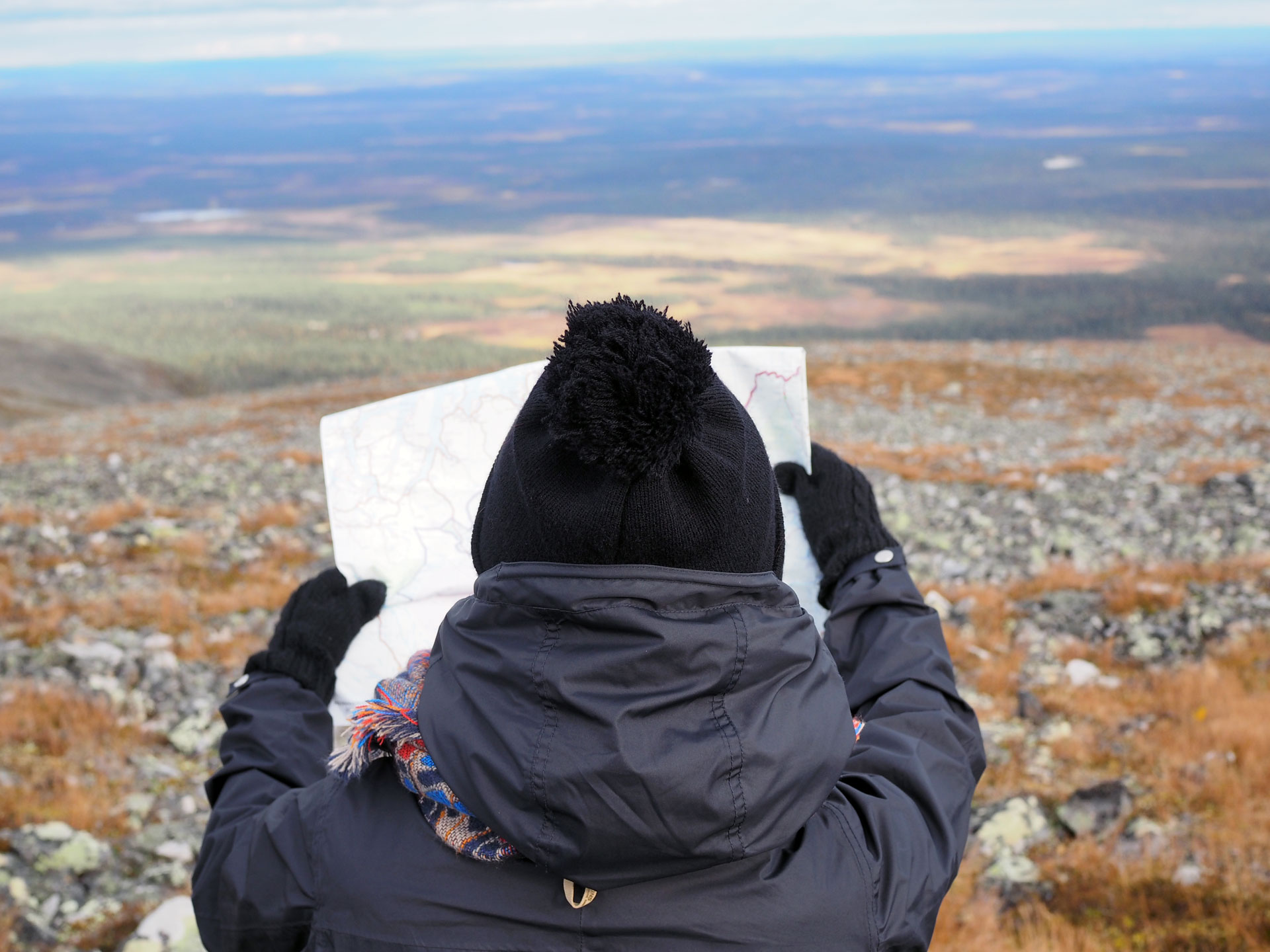 Lappi