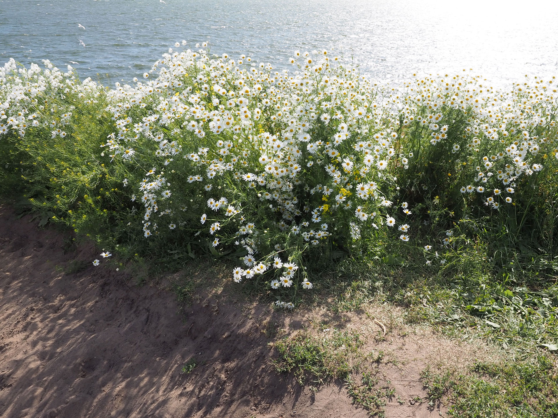 Suomenlinna - Helsinki