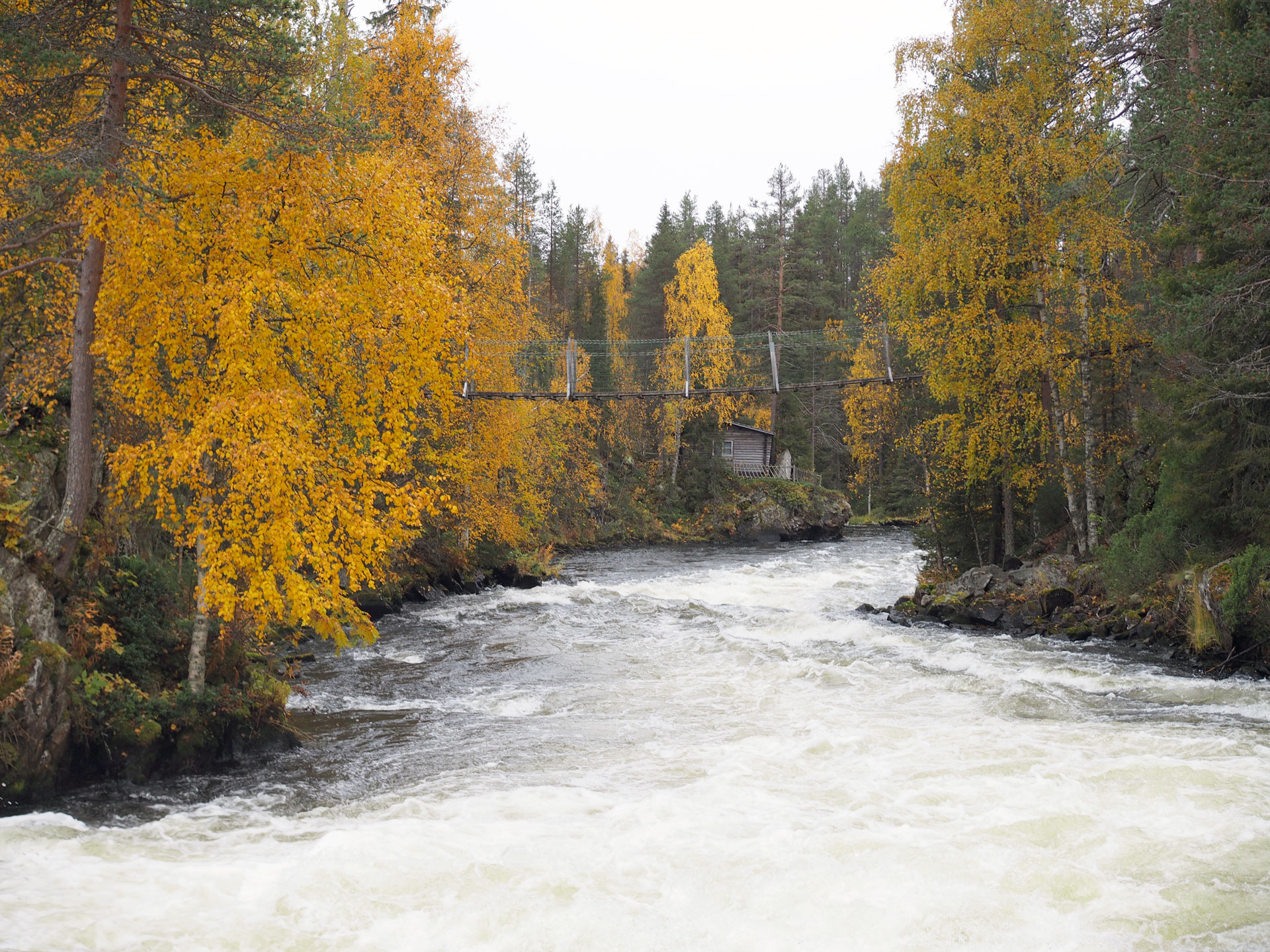Pieni Karhunkierros - Road trip Lappiin