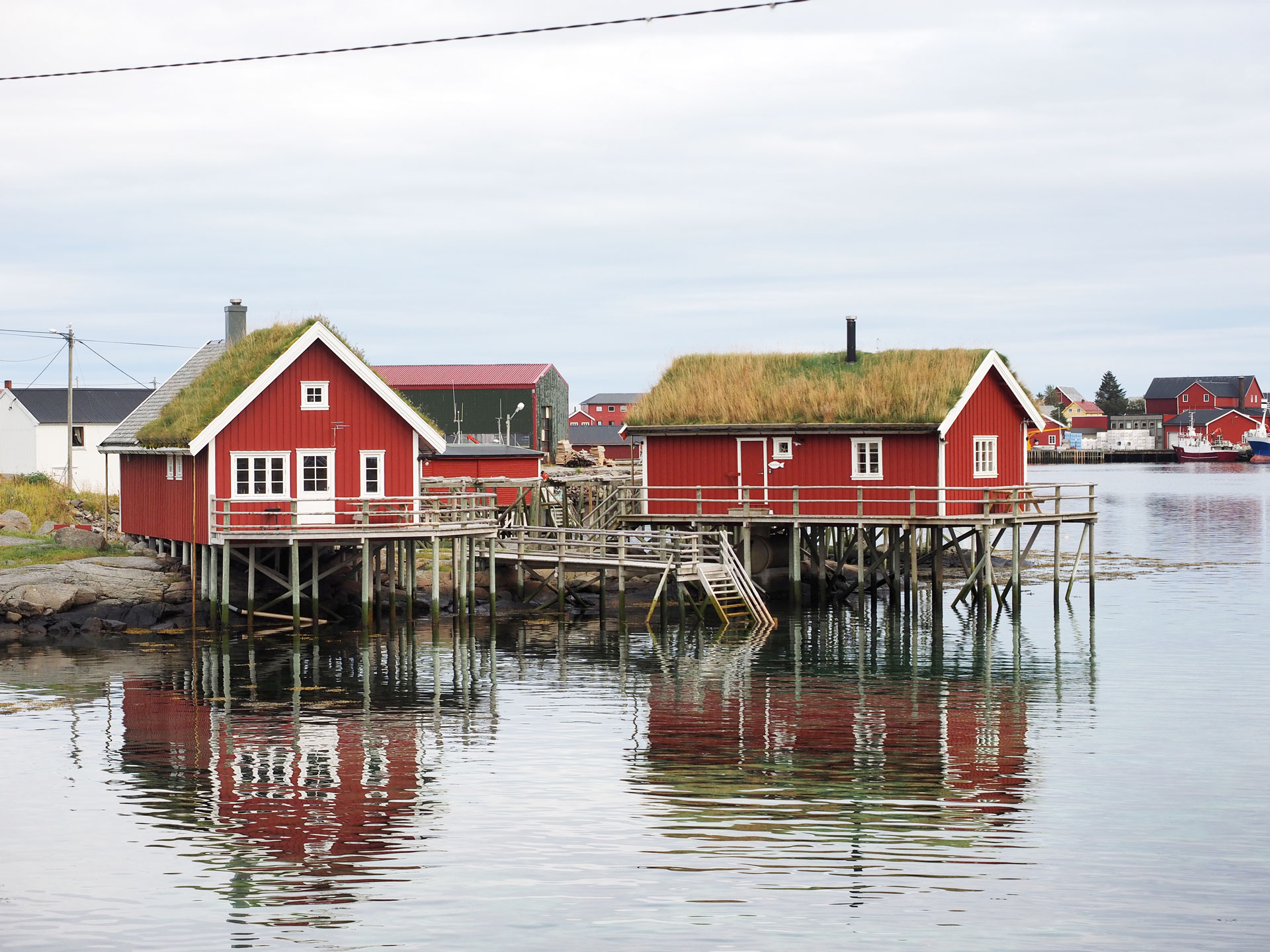 Lofootit - Road trip pohjoiseen